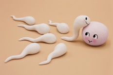 The fall in modern man’s sperm count
