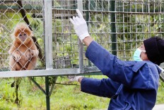 From animal hunter to animal rescuer