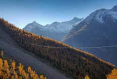 Switzerland opens world's longest pedestrian suspension bridge