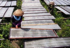 Two workers arrange trays of vermicelli to be dried in the sun. JP/Ganug Nugroho Adi