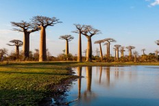 Tourism minister officiates the opening of Baobab Safari Resort
