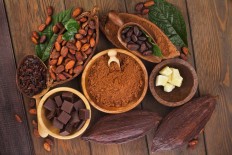 Promoting sustainable learning for cacao farmers