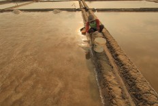 A farmer collects salt in buckets. Antara/Dedhez Anggara