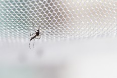Mosquito-borne infectious diseases: Crafting an Asian solution