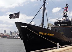 Sea Shepherd pulls plug on Japan whale hunt