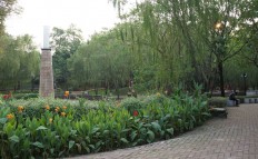 Trees in Tangerang get electronic information tags