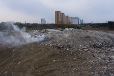 Resolving trash problems needs mindset change: Expert