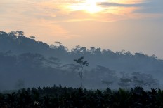 EDITORIAL: Curbing growth in cigarette sales