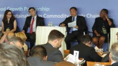 Indonesia to increase palm oil production to 42 million tons by 2020