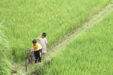 Two Indonesian films receive awards in Hong Kong