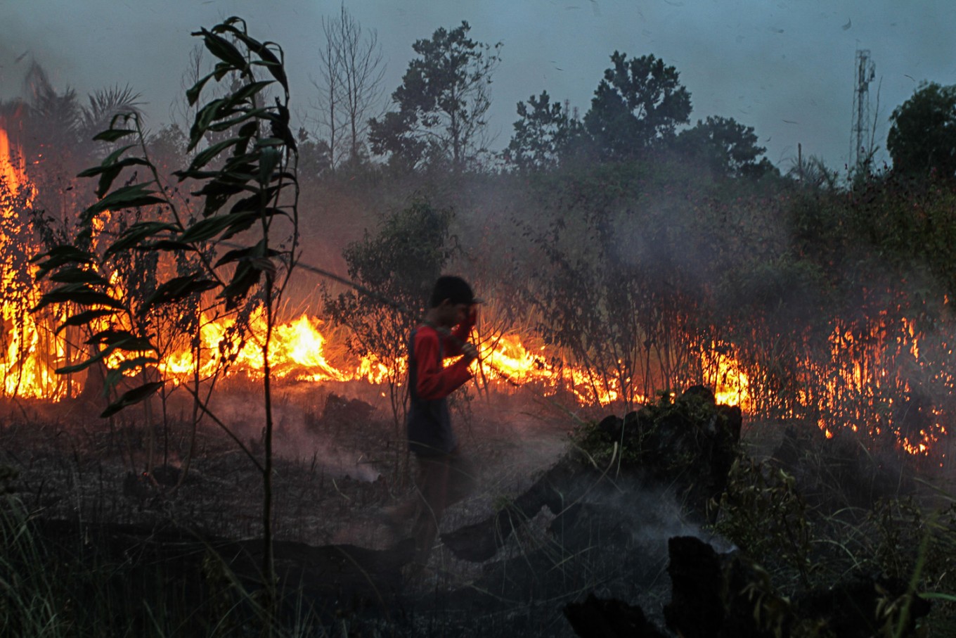Five named suspects in Jambi land, forest fires
