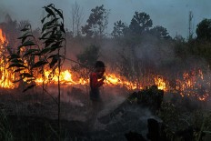 Five named suspects in Jambi land, forest fires 