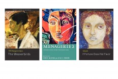 The importance of literary translation for global recognition