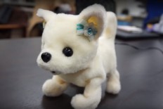 Japanese ‘robot dog’ designed to sniff smelly feet  