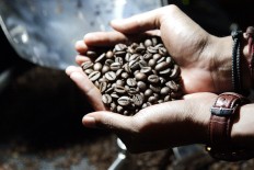 Coffee is a celebrated commodity in Bondowoso, East Java.