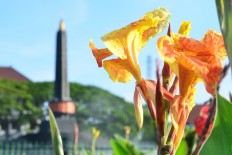 Malang Flower Carnival 2017 highlights exotic archipelago flowers