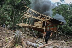 Suspected illegal logger arrested in Jambi