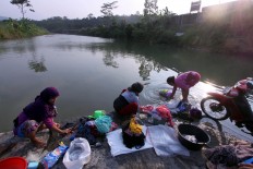 West Java authority sends team to catch white crocodile at Cileungsi River
