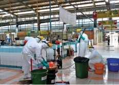 Bird flu threat is alive and well: Ministry