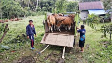 Cultural approaches &lsquo;more effective&rsquo; in handling those fleeing natural disasters: BNPB 