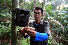 Observation tool: A member of the monitoring unit installs a video trap to record the presence of the endangered Javan rhinos. JP/Dhoni Setiawan