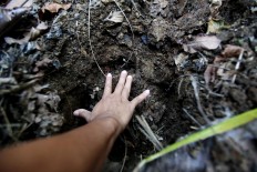 Fresh trace: A member of the monitoring unit measures the footprint of a Javan rhino, estimated to have passed through the area less than 24 hours ago. JP/Dhoni Setiawan