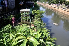 Jakarta has 600 hectares of farmland
