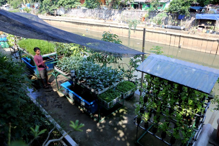 Urbanites find solace in urban farming amid COVID-19 quarantine