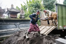 Mass solidarity in face of rumbling volcano