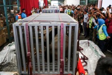 Two giant pandas arrive in Indonesia 