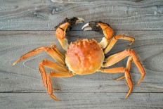 Customers rush to hairy crab vending machine