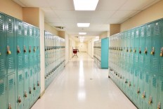 Essay: No reunion for the school of crocs