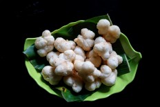 Purworejo promotes tourism with Bogowonto Festival 2017 