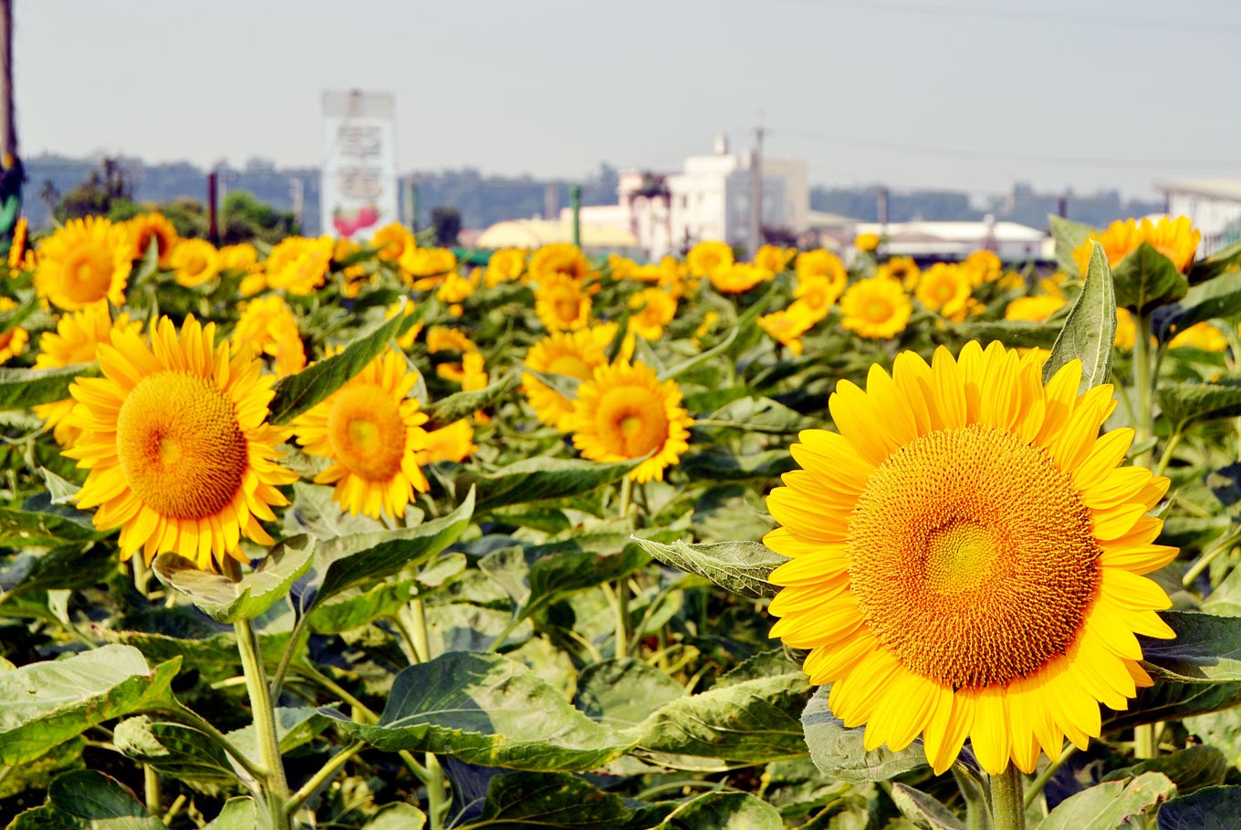 taiwan eco tourism