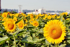 The beauty of Taiwan ecotourism