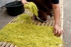 A Randutatah village woman arranges shredded tobacco leaves on a bamboo rack for curing in the sun. JP/Wahyoe Boediwardhana