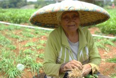 Female farmers face multi-layered struggle