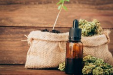 There was also no significant difference in sperm concentrations between current and former marijuana smokers, and greater use of marijuana among marijuana smokers was associated with higher testosterone levels in the blood.