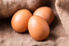 Japan scientists grow drugs in chicken eggs