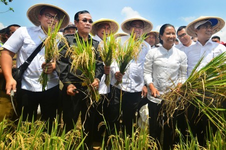 Taking part in a paddy harvest event in Ciamis, West Java, on  Oct. 9. are (right to left) Agriculture Minister Amran Sulaiman, State-Owned Enterprises Minister Rini Soemarno, Villages, Disadvantaged Regions and Transmigration Minister Eko Putro Sandjojo, West Java Deputy Governor Dedy Mizwar, Ciamis Regent Iing Syamarifin and Bank Mandiri president director Kartika Wirjoatmodjo.