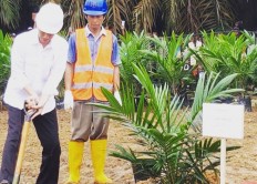 Oil Palm Estate Fund struggling to complete tasks