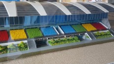 Jakarta restricts Idul Adha cattle slaughter amid Asian Games