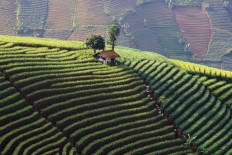 Garuda Indonesia announces two new flights from Kertajati airport