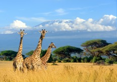Tanzania plans cable car for Mount Kilimanjaro