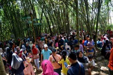 Papringan Market trades amid bamboo trees