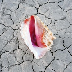 Album Review: 'Wonderful Wonderful' by The Killers