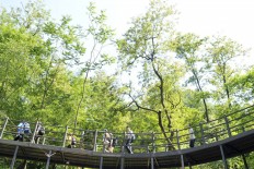 Green trail of Ansan embracing Seoulites seeking quick getaway