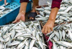 Fish, feminists, fishy business and religious bias