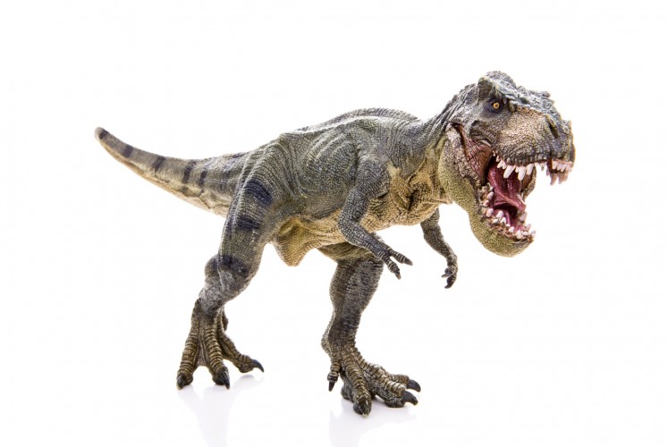 Lootable Object Tyrannosaurus Rex Large Rectangular
