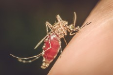 End of malaria in sight